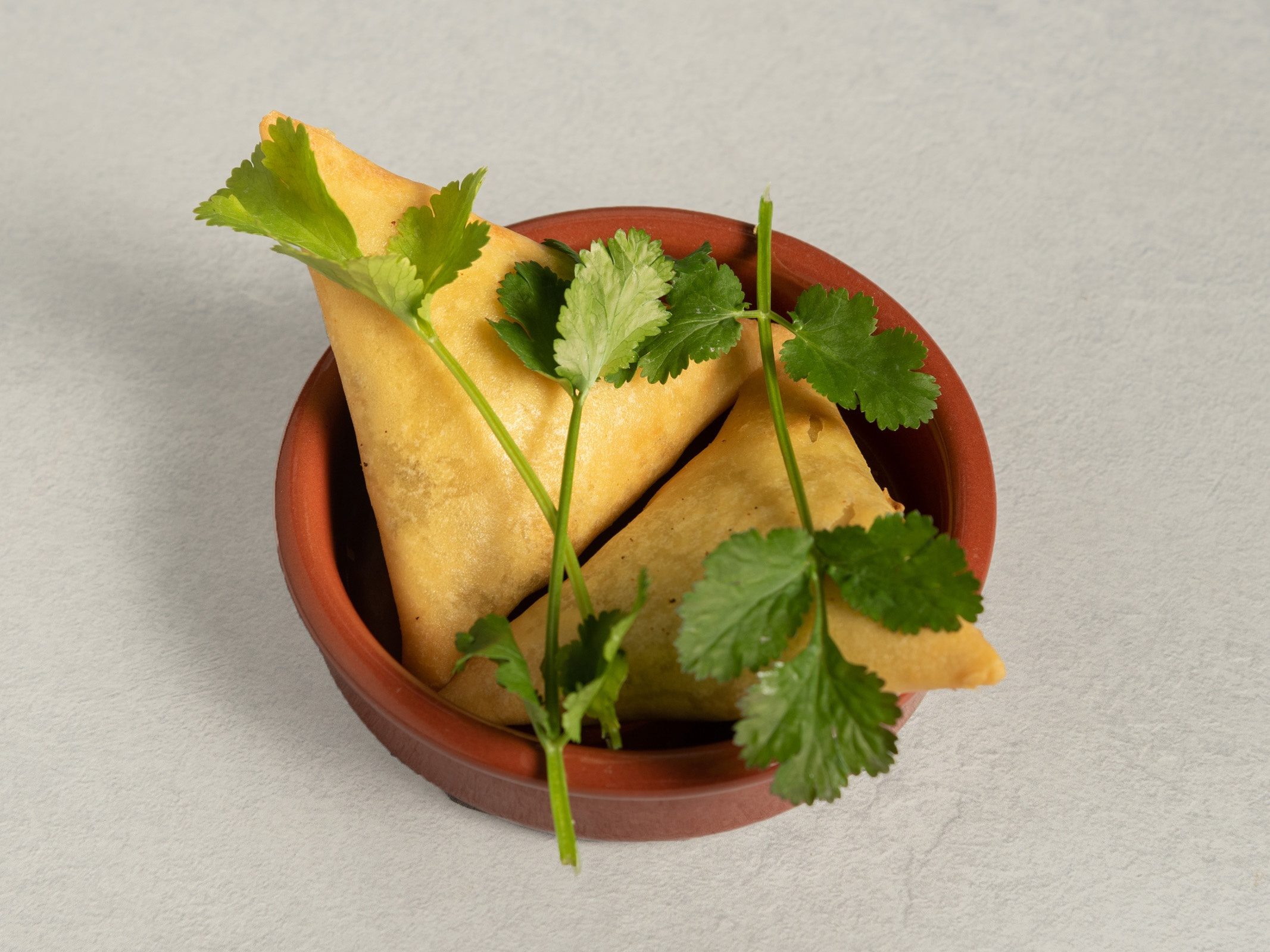 CasuarinaTree_Food_LambSamosa